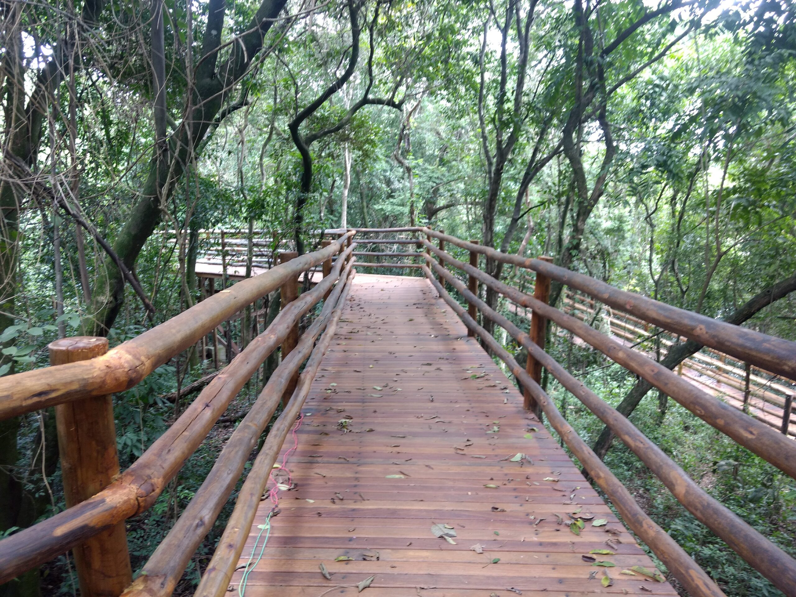 IMG_20180322_115824649